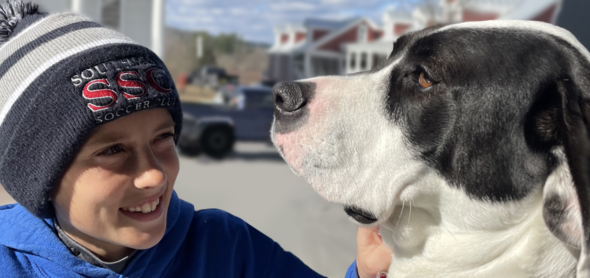 A smiling child in a blue jacket and beanie gently petting a large black and white dog. They are outdoors with the blurred background of a house and trees on a sunny day.