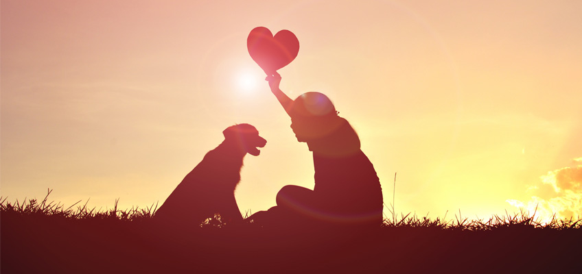 Silhouette of a person sitting on grass, holding a heart-shaped object up towards the sky at sunset. A dog sits beside them, both figures surrounded by a warm, glowing sky.