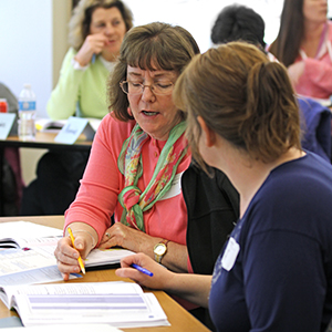 Work shop participants discussing an activity