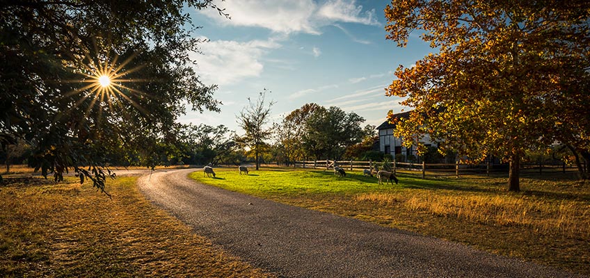 Texas Farm Road